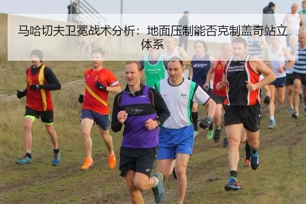 ma-ha-qie-fu-wei-mian-zhan-shu-fen-xi-di-mian-ya-zhi-neng-fou-ke-zhi-gai-qi-zhan-li-ti-xi-2-312.jpg